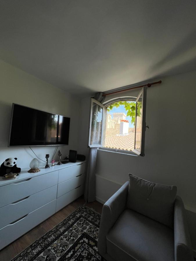亞維農Renove, Vue Sur Palais Des Papes, Terrasse Et Wifi Troisieme Etage公寓 外观 照片