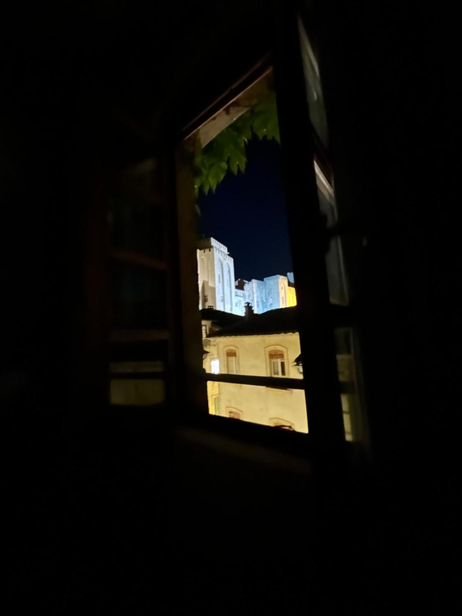 亞維農Renove, Vue Sur Palais Des Papes, Terrasse Et Wifi Troisieme Etage公寓 外观 照片